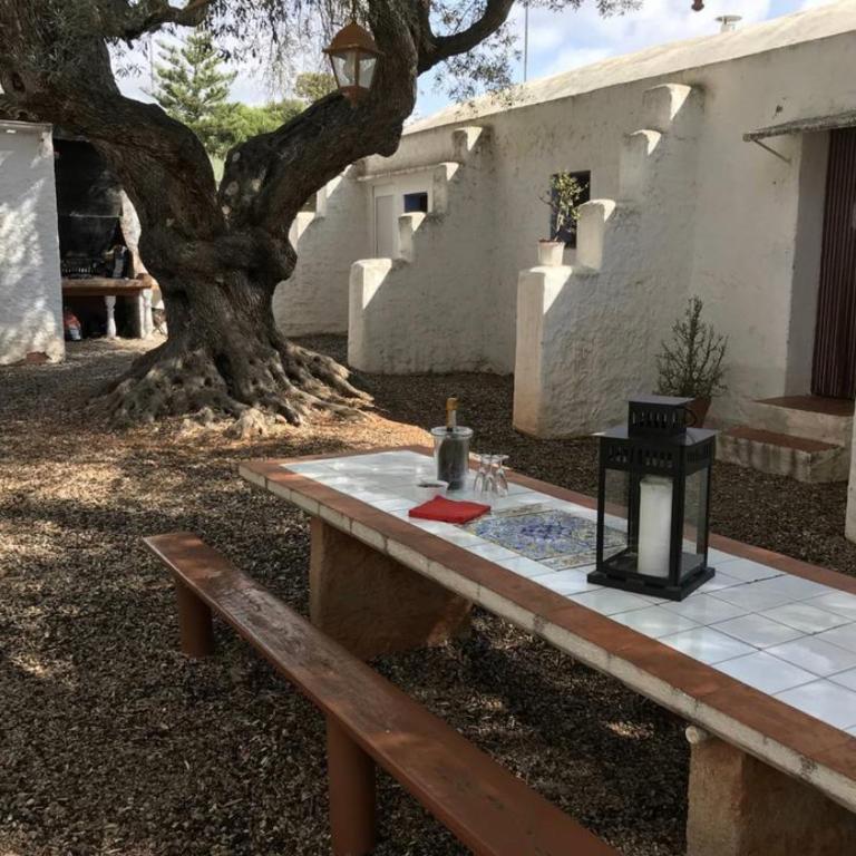Casa de arte - Villa - 18