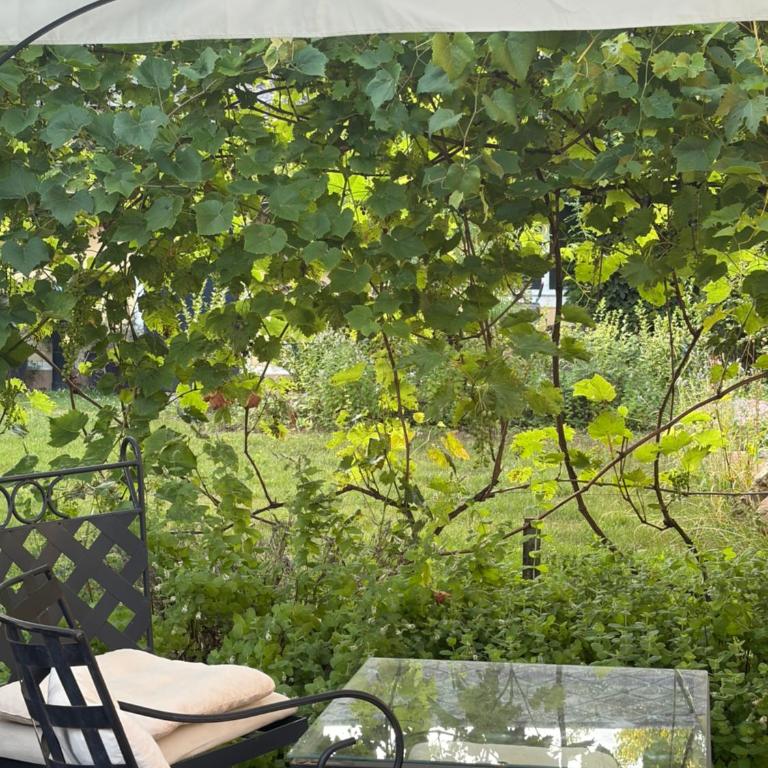 Streifzeit - Apartment mit 2 Schlafzimmern - 15