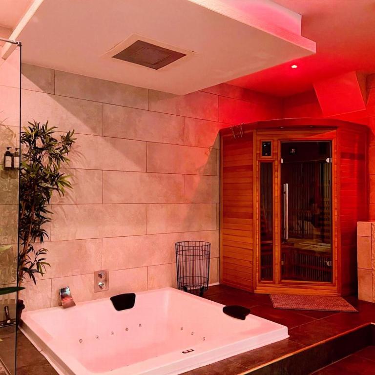 LOFT & SPA PRIVATIF - Deluxe Apartment - 1