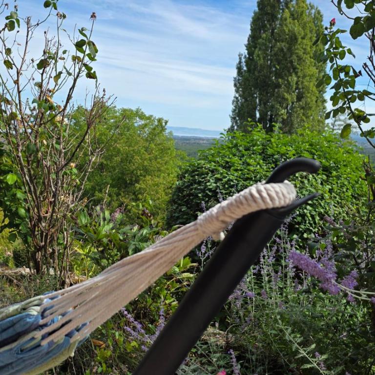AKHET Villa panoramique avec vue Léman et Alpes - Villa - 16