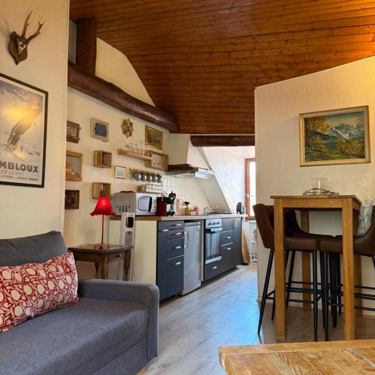 Super cozy alpine chalet - Annecy old town - Appartement 1 Chambre - 1