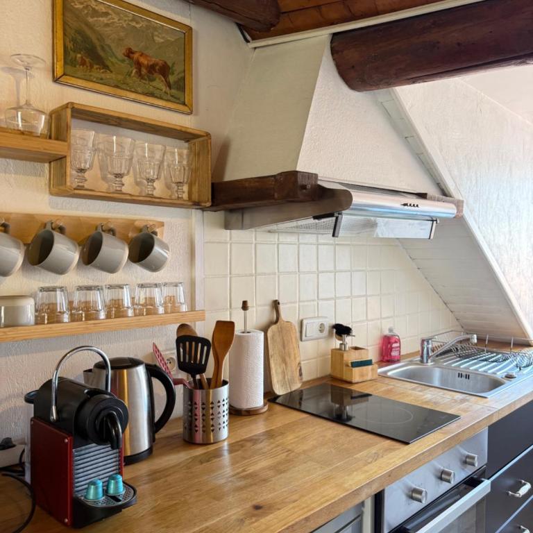 Super cozy alpine chalet - Annecy old town - Appartement 1 Chambre - 4