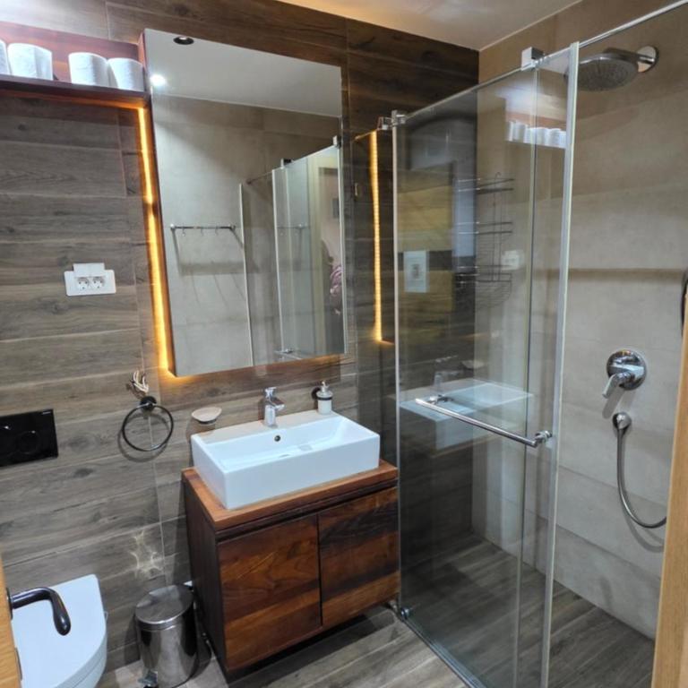 Kamena Kuca Lux Apartment - Studio Apartman - 7