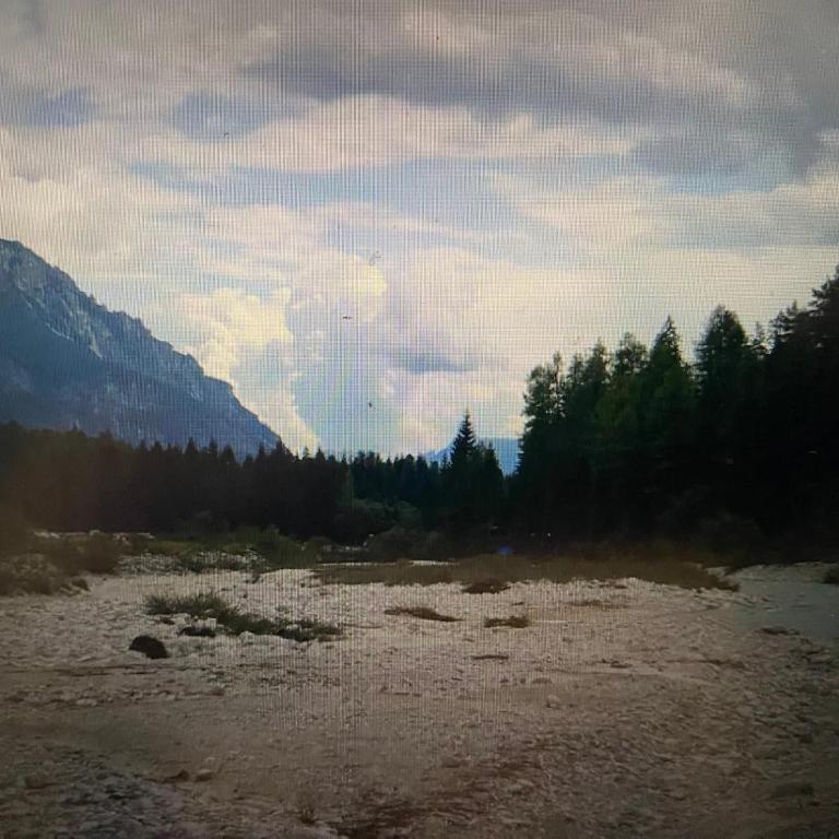 Tra Bosco e Montagna - Casa Vacanze - 7