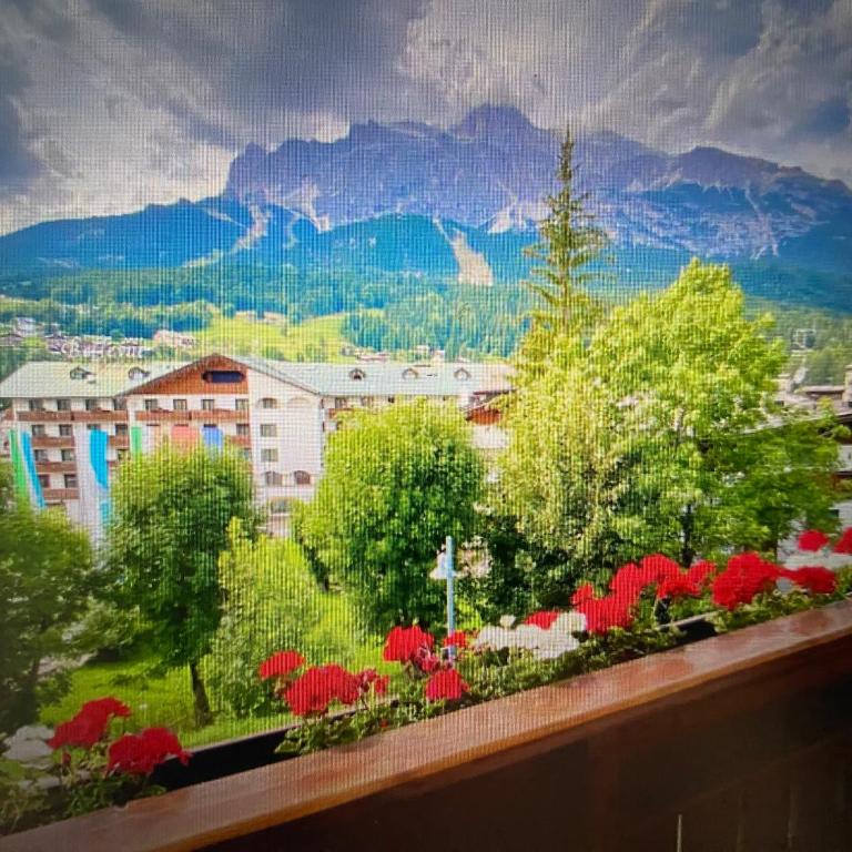 Tra Bosco e Montagna - Casa Vacanze - 11