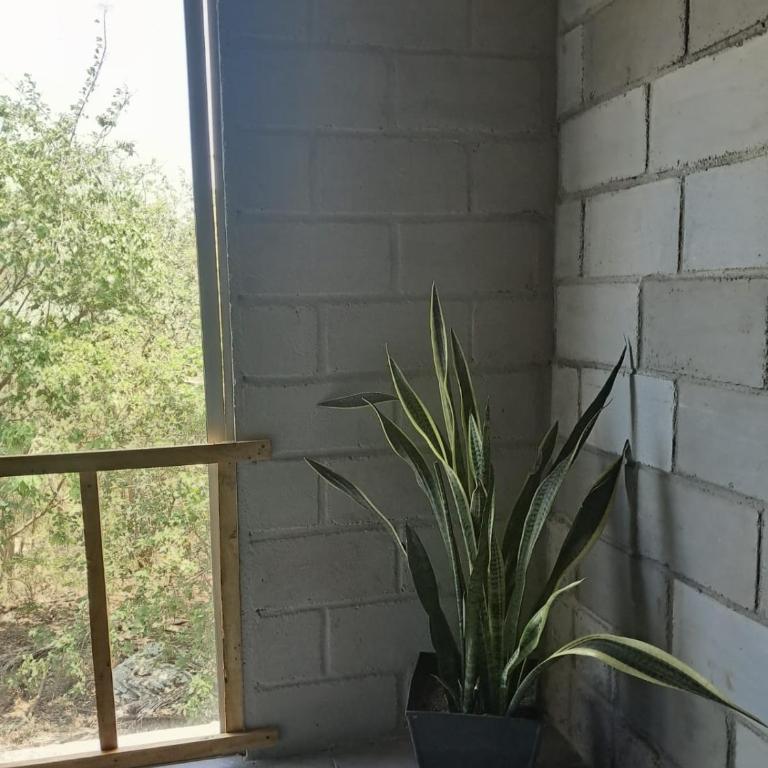 CO Casa Ocean - Habitación Doble - 5