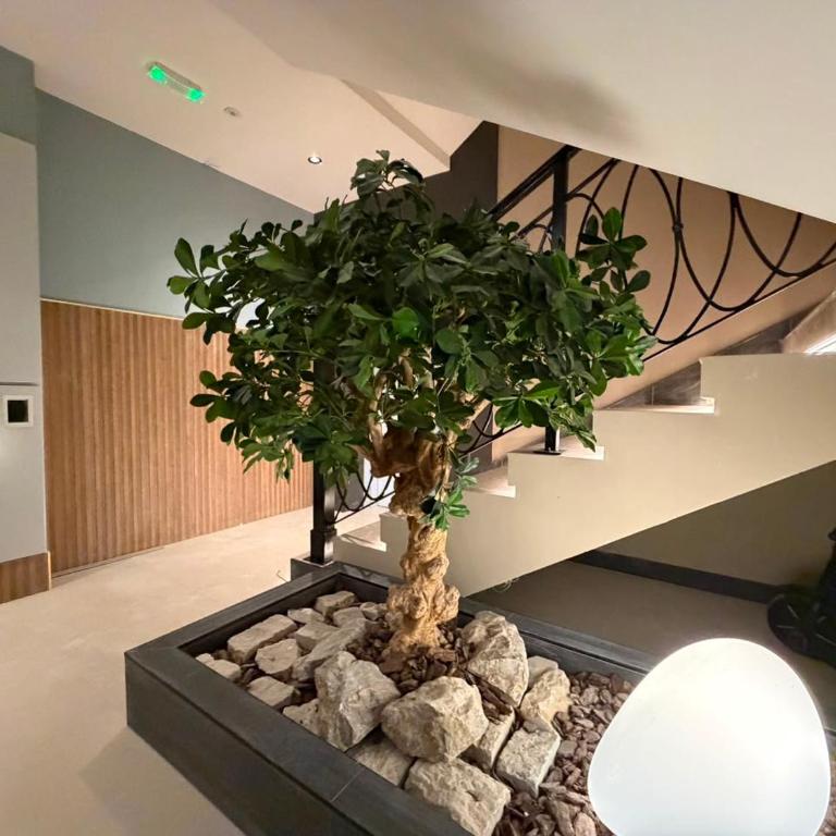Marea Lux - Tivat - Deluks Apartman sa 2 Spavaće Sobe i Balkonom - 23