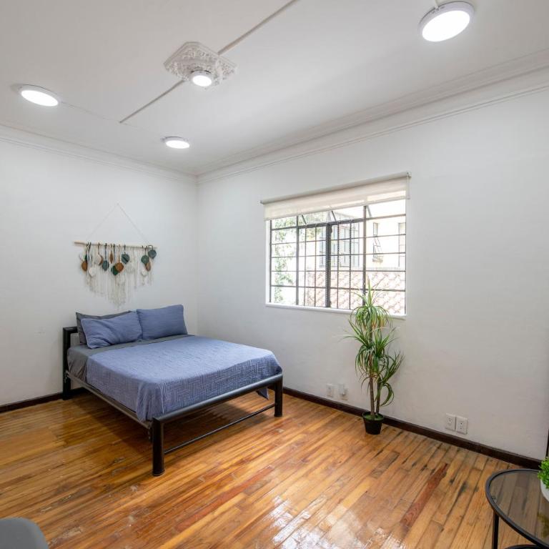 Casa Amatlán - Suite 5 Ambar - Apartamento de 1 dormitorio - 1