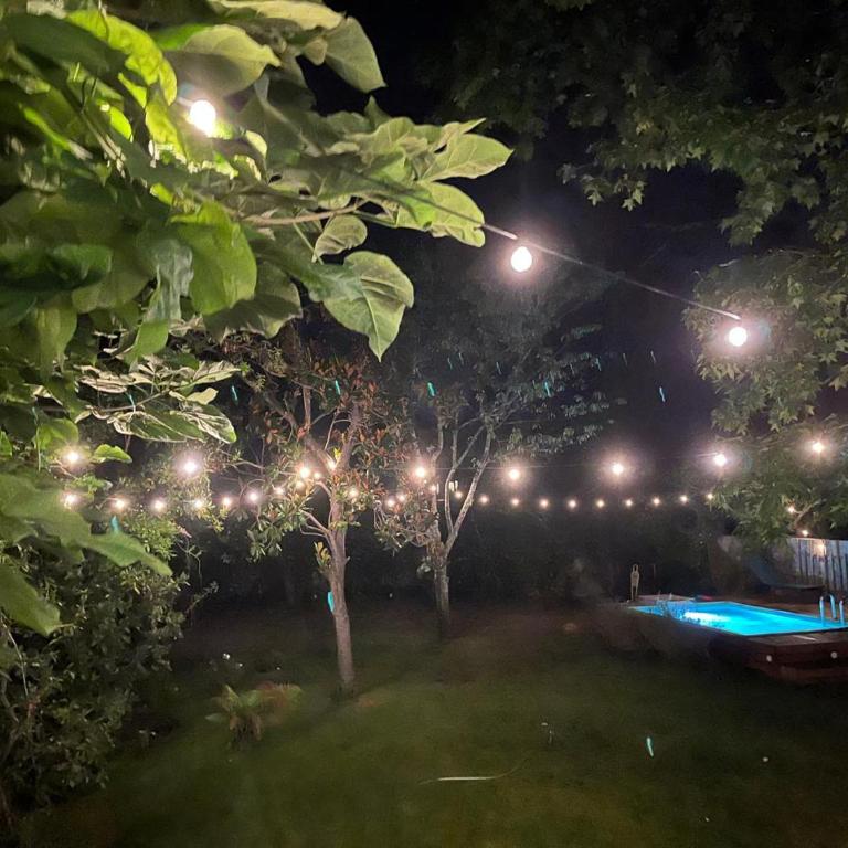 Grande villa 10 pers, jardin luxuriant, piscine - Au cœur de Dax - Proche plages et Pays Basque - Villa avec Piscine Privée - 3