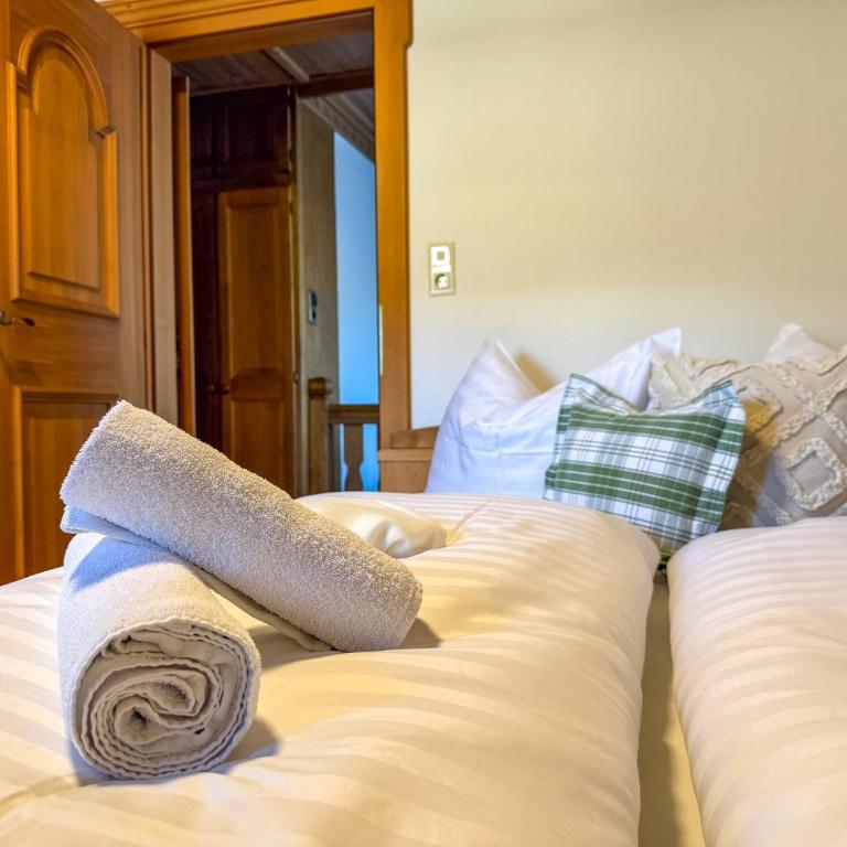 Landhaus Anton Zillertal - Appartamento - 5