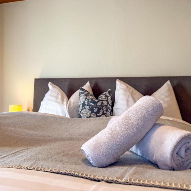 Landhaus Anton Zillertal - Appartamento - 8