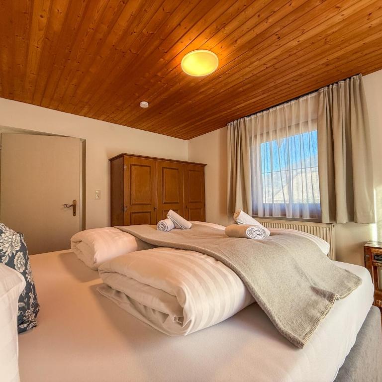 Landhaus Anton Zillertal - Appartamento - 23