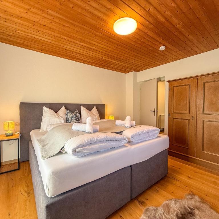 Landhaus Anton Zillertal - Appartamento - 60
