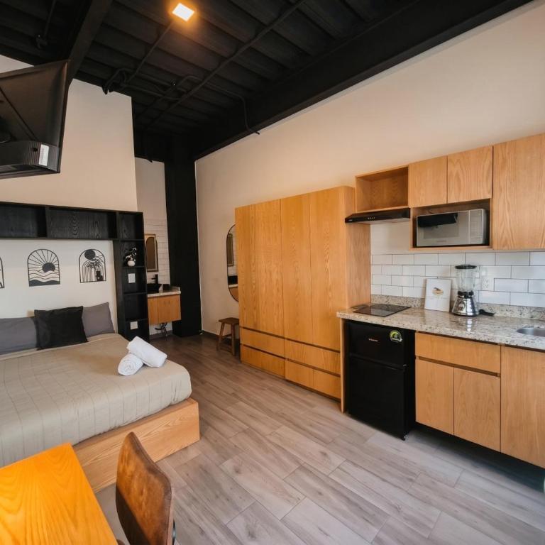 Lofts La Paz - Estudio Estándar - 3