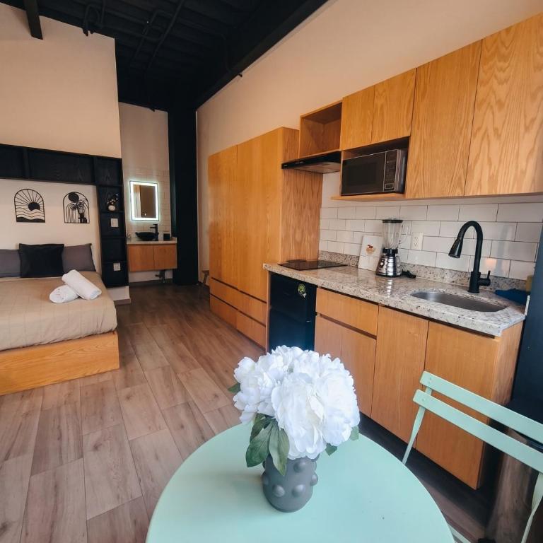 Lofts La Paz - Estudio Estándar - 7