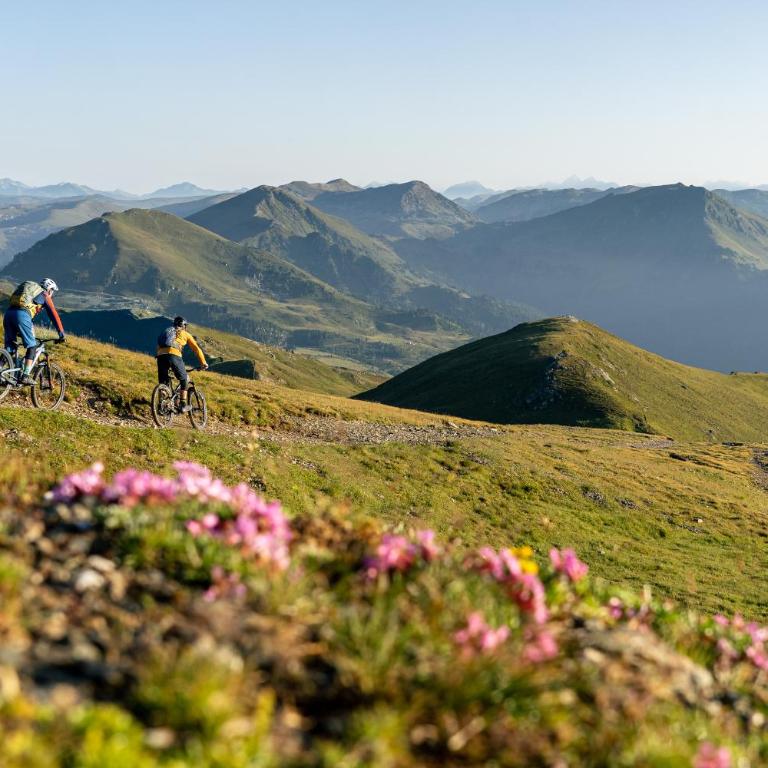 Sechszirbenhütte am Falkert 1700 m - Casa con 2 Camere da Letto - 27