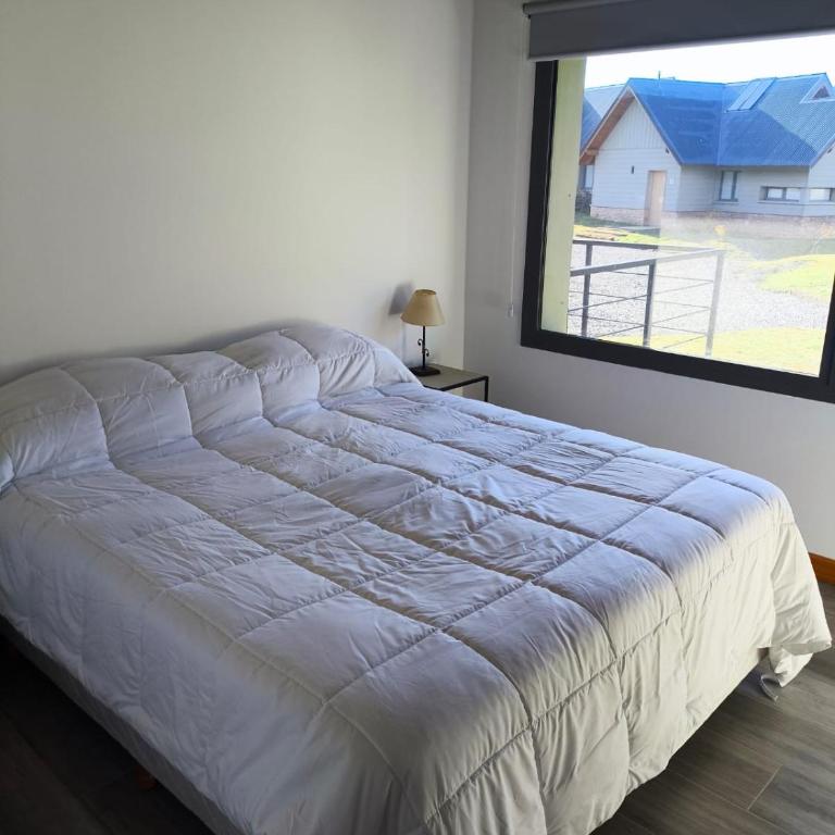  - Room #1715374902 - 16