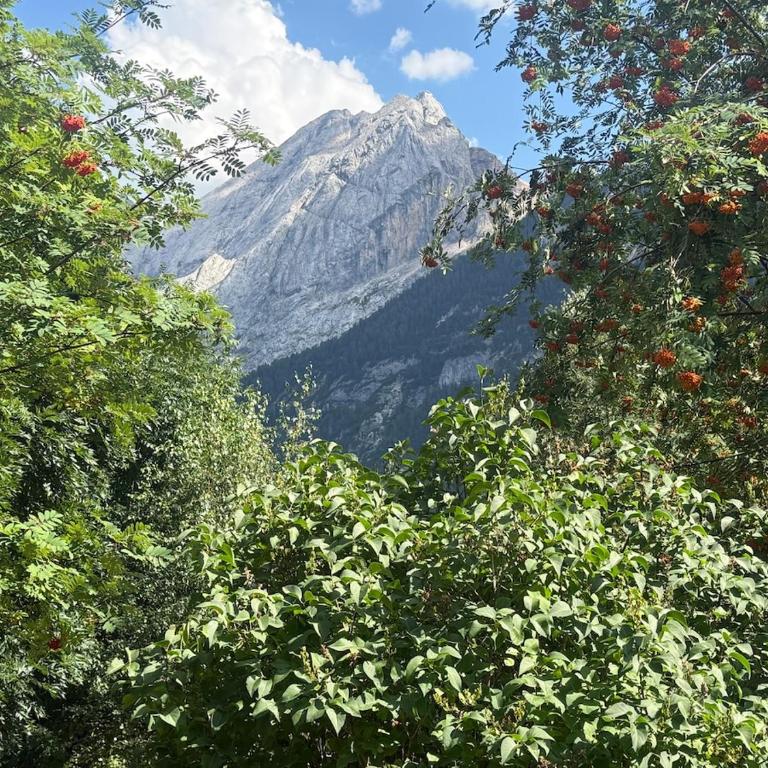 Appartamento Giulia - Appartamento con 2 Camere da Letto - 17