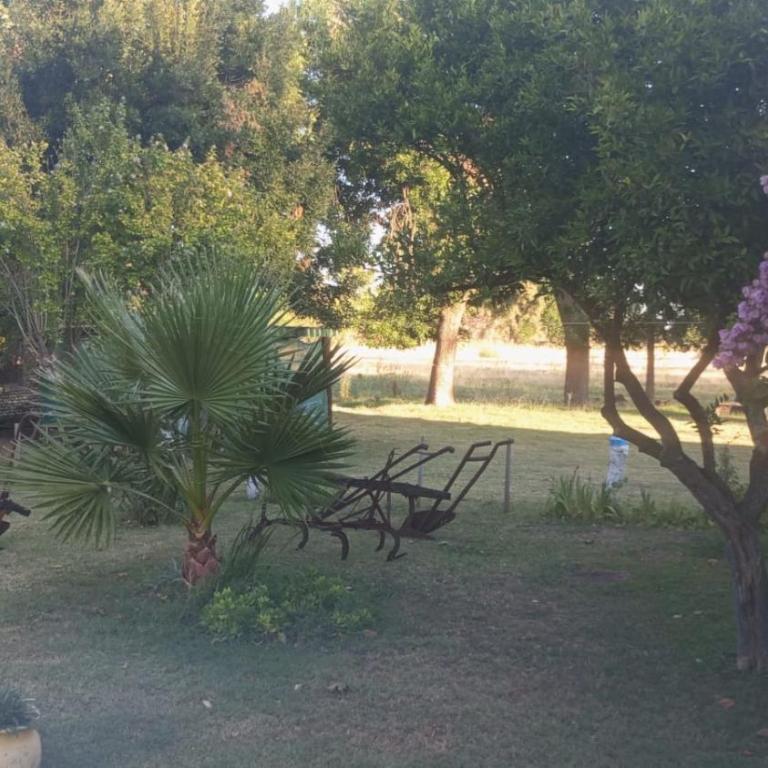  - Casa de 5 dormitorios - 14