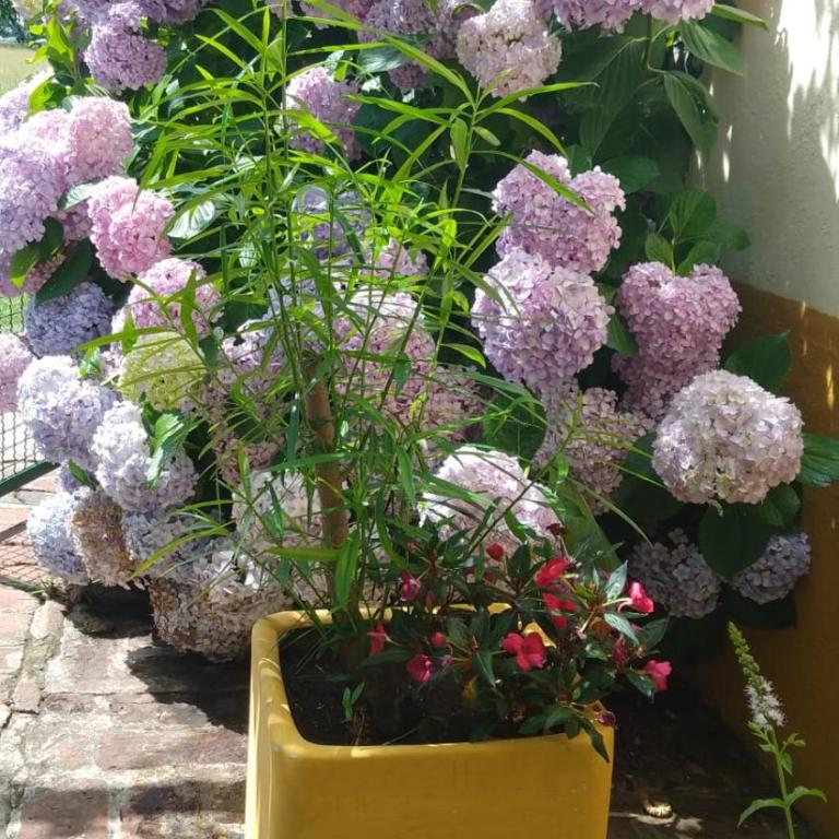  - Casa de 5 dormitorios - 26