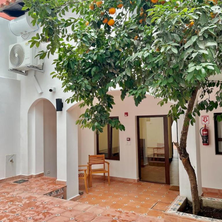  - Apartamento de 1 dormitorio - 8
