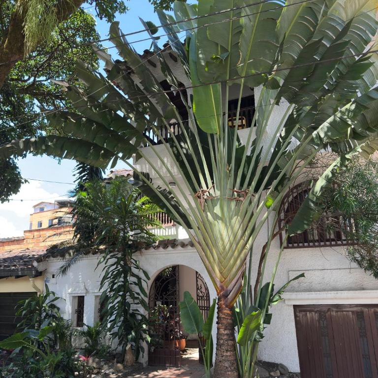 Oasis en el corazón de Medellin, Laureles - Apartamento - 2 niveles - 25