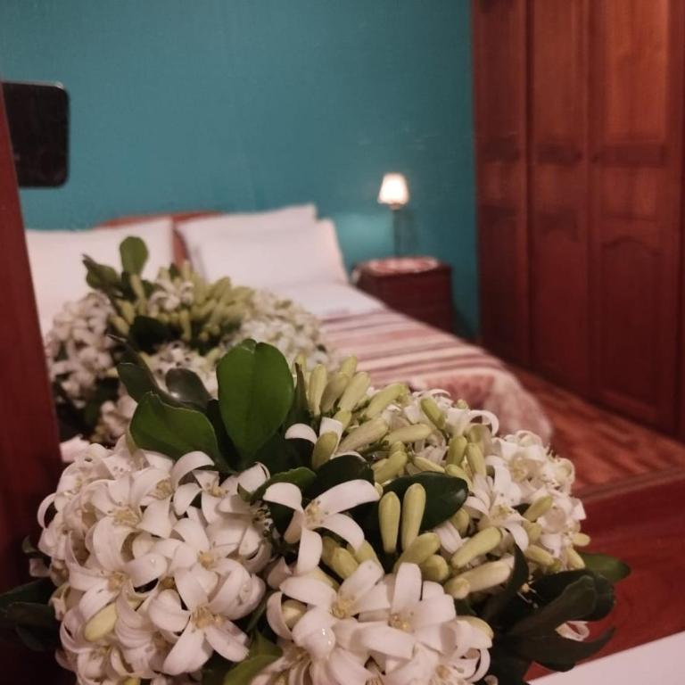 La Magnolia B&B - Room #1715311201 - 6