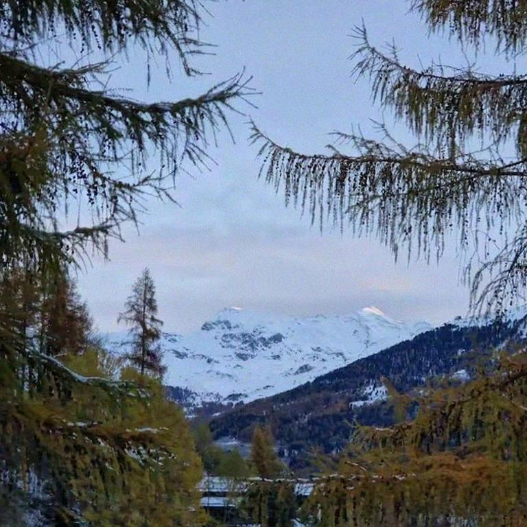 Apartment Grimentz, beautiful view-nature-sport - Apartment mit 2 Schlafzimmern - 20
