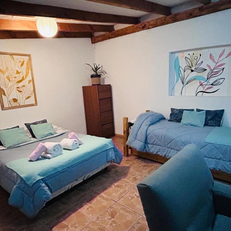 Alojamiento Turístico Colihues - Apartamento de 1 dormitorio - 10