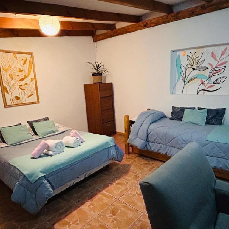 Alojamiento Turístico Colihues - Apartamento de 1 dormitorio - 13