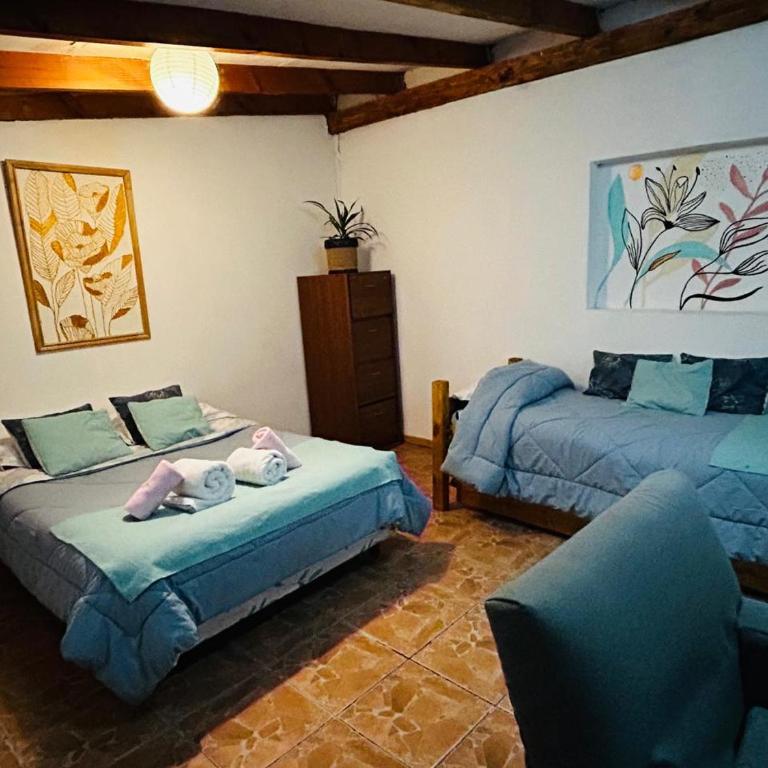 Alojamiento Turístico Colihues - Apartamento de 1 dormitorio - 12