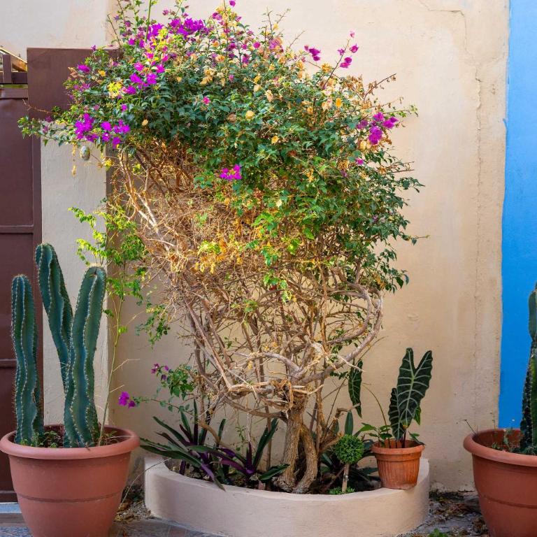 Casa Amplia, 7 Hab con Alberca, Gym y Terraza - Vacation Home - 25