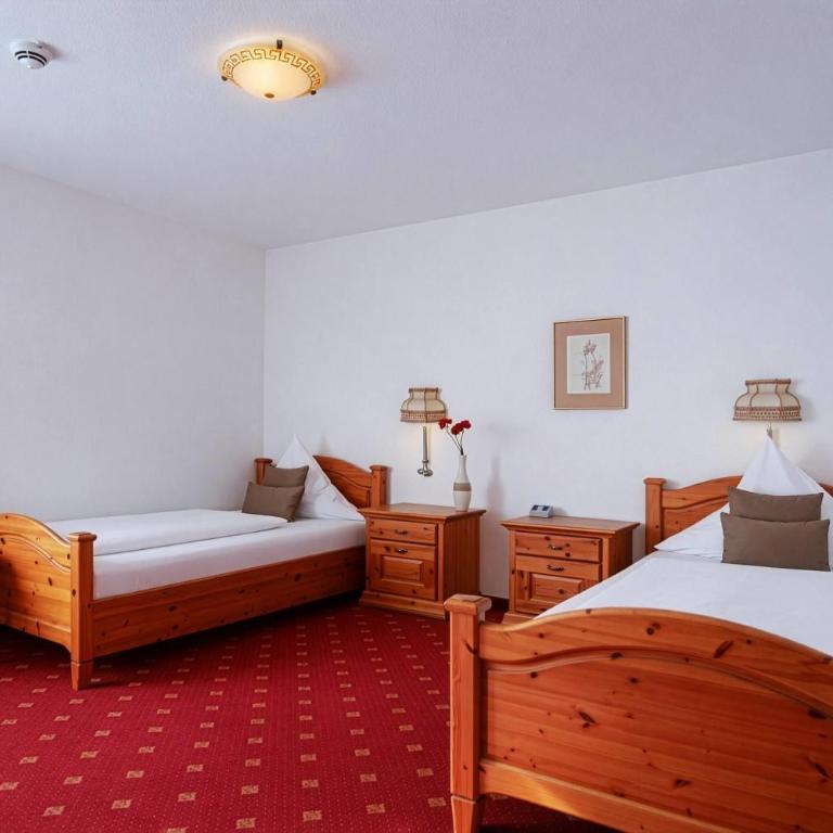 Arthotel ANA Panorama, Trademark Collection by Wyndham - Camera Standard Doppia con Letti Singoli - 2