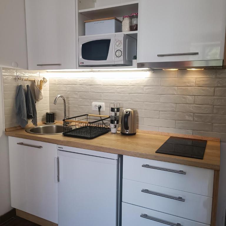 Apartman Paunovi Čardaci sa garažnim mestom - Apartment mit 1 Schlafzimmer - 31