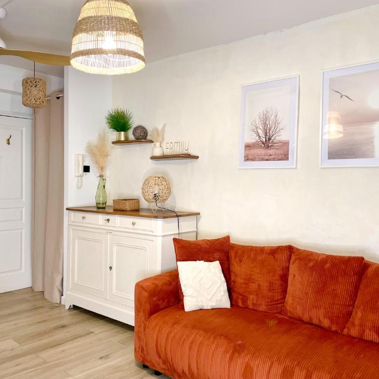 Nid Avignonnais quartier Teinturiers - Appartement 1 Chambre - 11