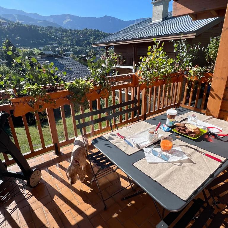 Appartement pied des pistes et proche centre village - Two-Bedroom Apartment - 11