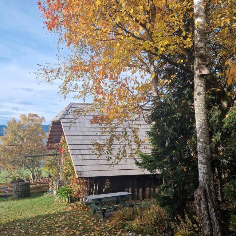 Die Jagamühl - Ferienhaus mit Dusche - 14