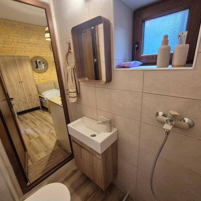 Vrapčići sa Vračara - Studio-Apartment - 38