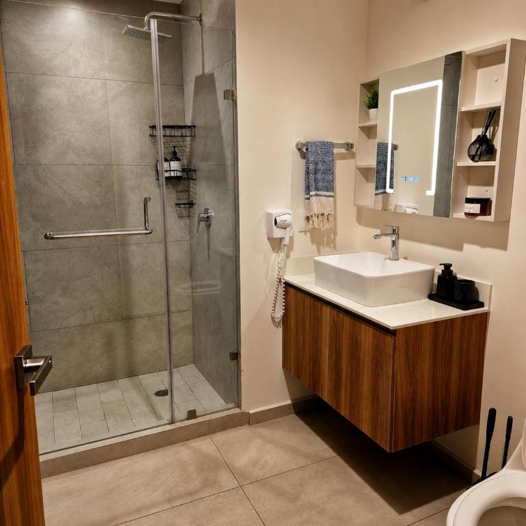 Cielito Lindo Boutique Studio in Chapultepec - Apartment mit 2 Schlafzimmern - 57