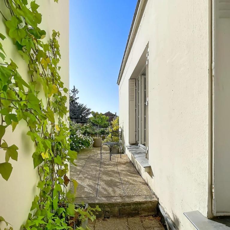 Cosy appartement près Denfert-Rochereau - Appartement - 19