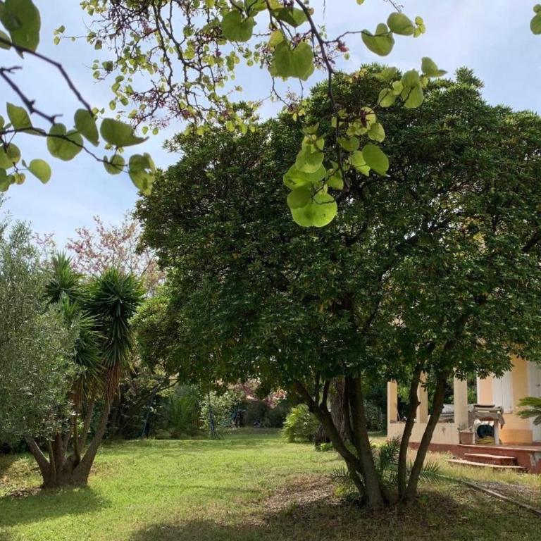 Maison avec jardin à 5 min du Port de Sanary - Maison de Vacances - 20