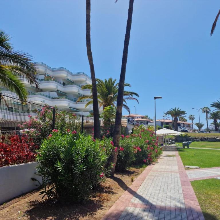 Apartamento Venus - Apartamento de 1 dormitorio - 36