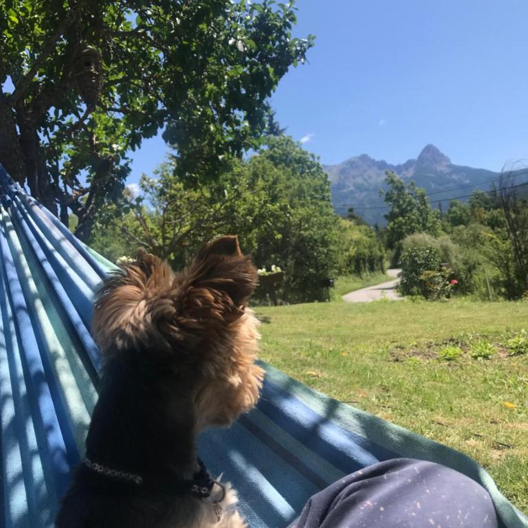 Haut de chalet - Ideal familles avec enfants - proche barcelonnette - Chalet 3 Chambres - 20