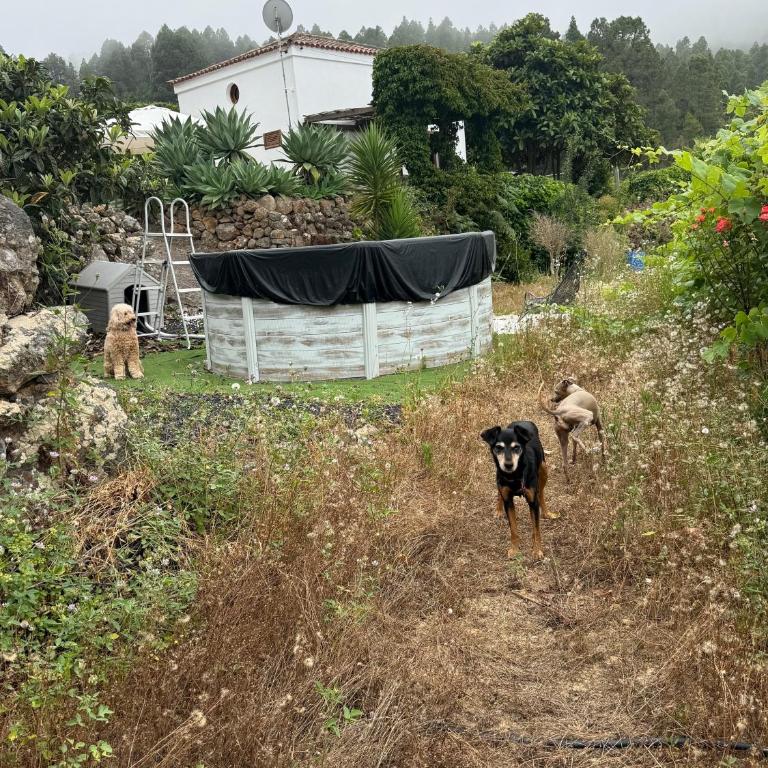 Casa Regina - Villa - 29