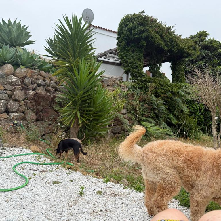 Casa Regina - Villa - 30