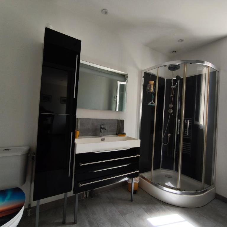 ROYAN super F2 400m des plages du Chay et de Foncillon - Appartement 1 Chambre - 8