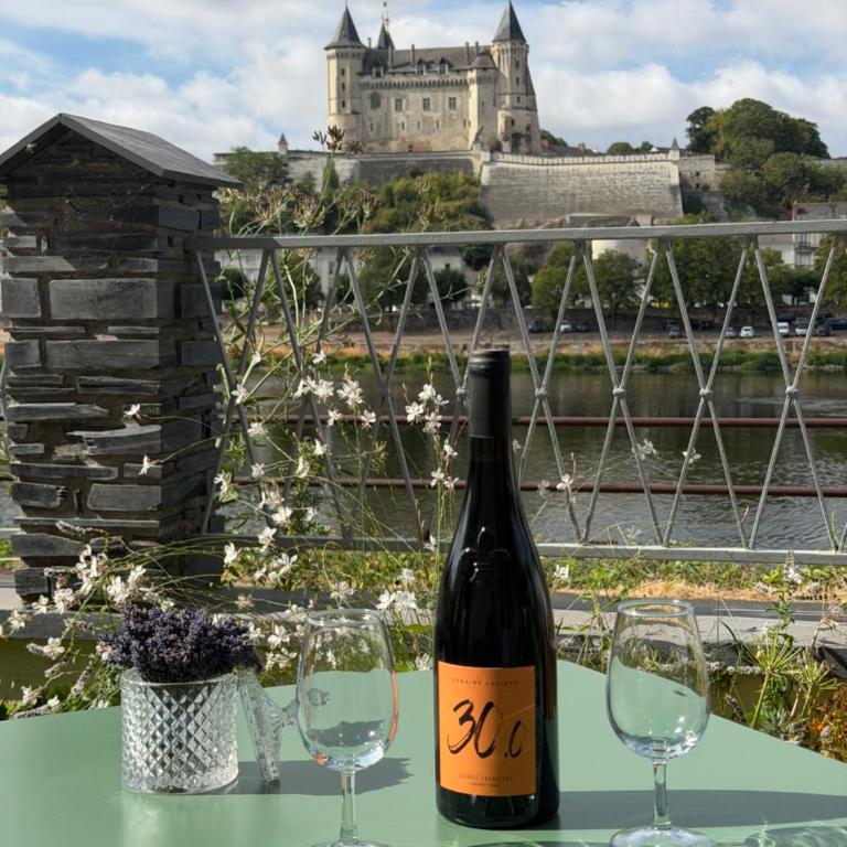 Maison de Charme, Terrasse & Vue Château Saumur - Maison 2 Chambres - 1