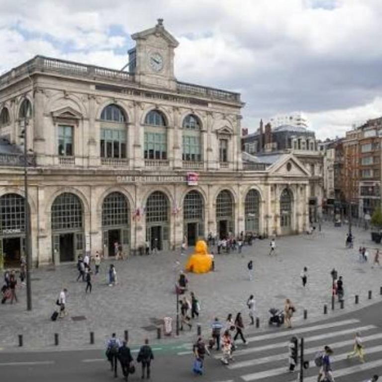 Grand studio 4 voyageurs face Gare Lille-Flandres - Appartement 1 Chambre - 1