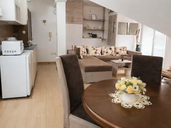 Apartman Vrnjacka zora - Apartman sa 1 Spavaćom Sobom - 20