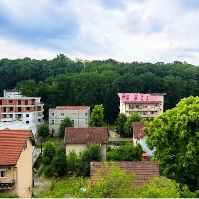 Apartman Vrnjacka zora - Apartman sa 1 Spavaćom Sobom - 23